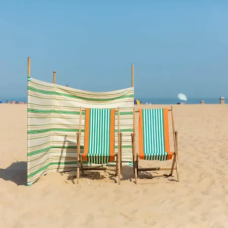 In Near Wellington Racecourse *