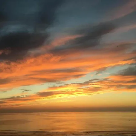 Apartamento In Near Wellington Racecourse *