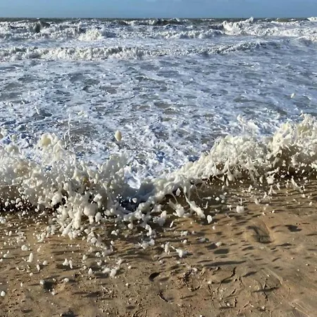 In Near Wellington Racecourse Apartamento *