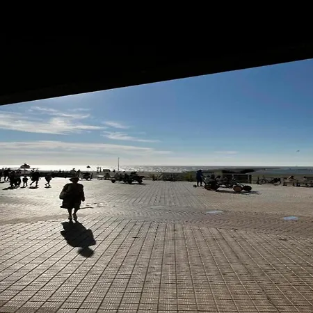 Apartamento In Near Wellington Racecourse Ostend