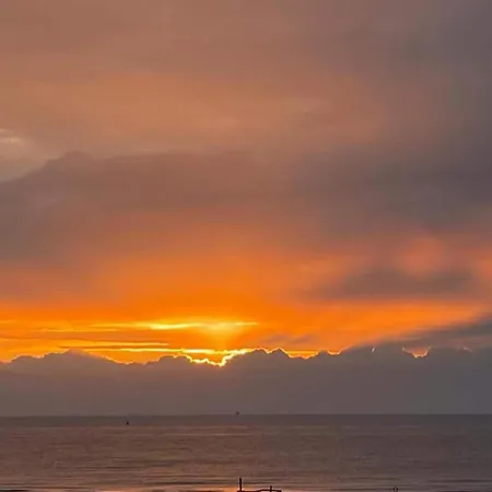 公寓 In Near Wellington Racecourse 奥斯滕德