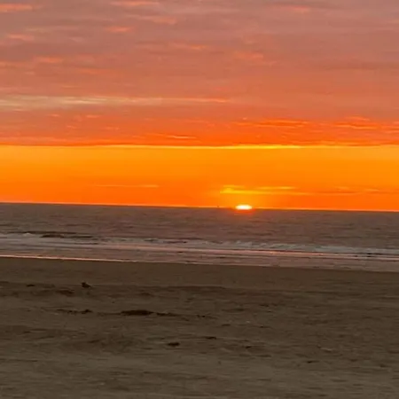 In Near Wellington Racecourse 公寓